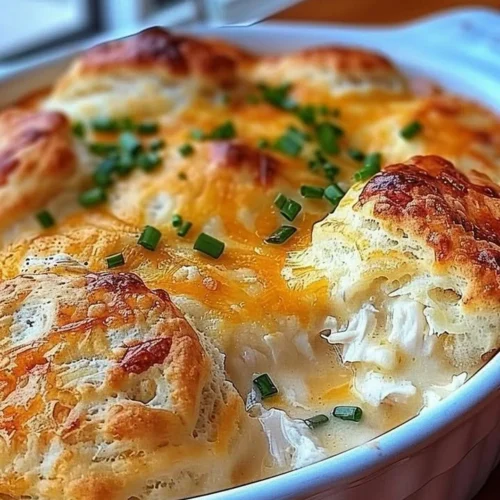 Delicious Chicken Biscuit Casserole in a baking dish topped with flaky biscuits